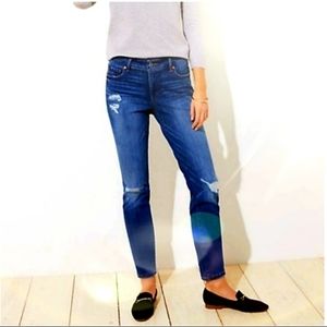 Loft - Modern Skinny Distressed Jeans (Size 10/30)